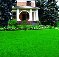 Насіння Газонна трава "Ліліпут" 1 кг низькорослий декоративний травозмішайтеся газонна для лінивих