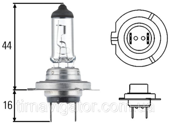 H7 12V 55W MEGA, фото 1