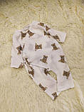 Літній мусліновий конверт + комбінезон з шапочкою для новонароджених, принт ведмежата, фото 5