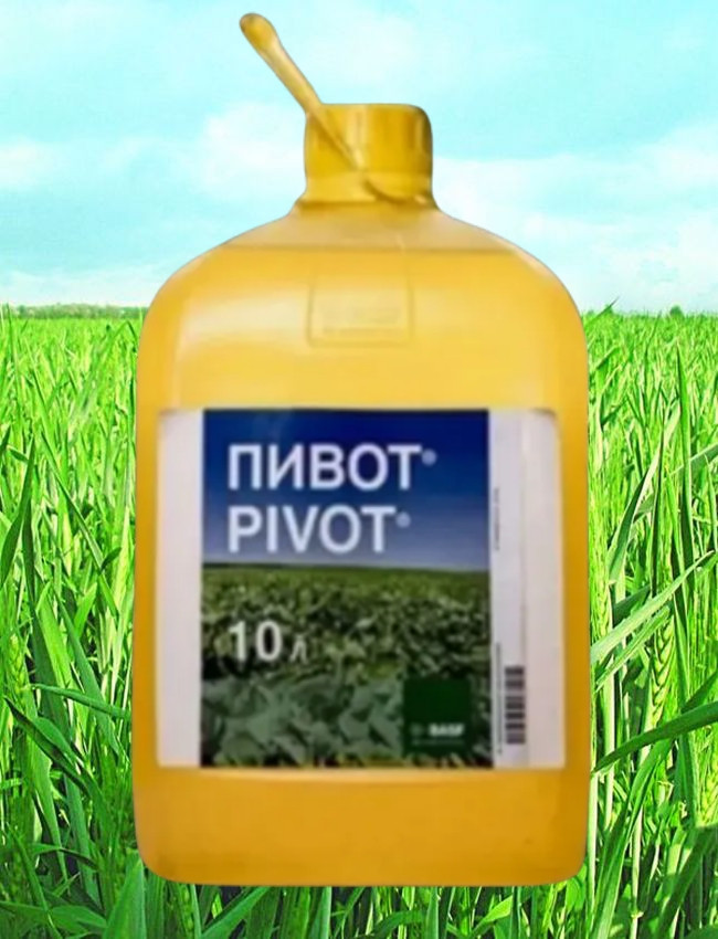 Купить Гербицид Пивот 10л, цена 5010 грн — Prom.ua (ID#1814386083)