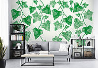 Флизелиновые фотообои Акварельные цветы Зеленые листья плюща (14141V)+клей
