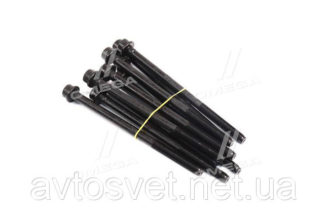 Комплект болтів головки цилідра FIAT/OPEL 1.6 D Multijet 10- (вир-во Elring) 524.160 (Kr), фото 1