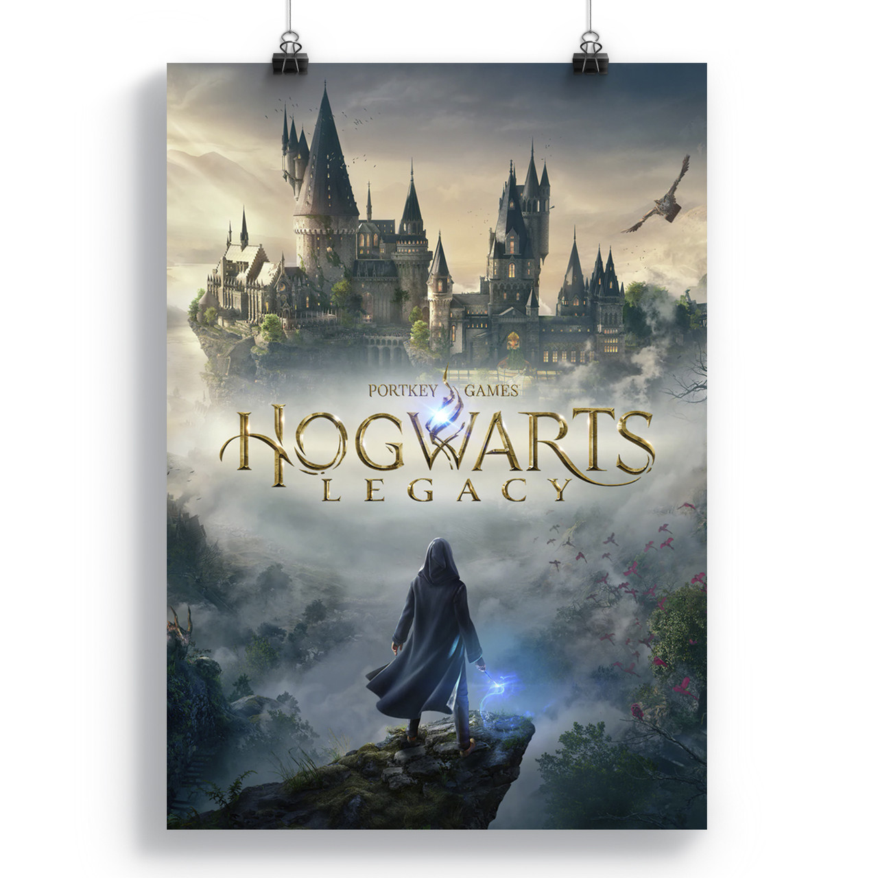 Купить Плакат Хогвартс. Наследие | Hogwarts Legacy 01 в Украине, Одесса ...