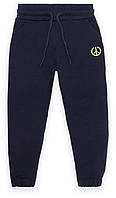 Штани дитячі для хлопчика GABBI BR-23-2 Темно-Синій на зріст 104 (13556)