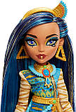 Лялька Монстер Хай Клео де Ніл Monster High Cleo De Nile Doll G3 з аксесуарами та собачкою HHK54 Mattel Оригінал, фото 6