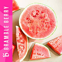 Аромаолія Bramble Berry Цукровий Кавун (Watermelon Sugar) США для свічок і мила