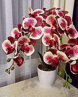 Латексные орхидеи для декора