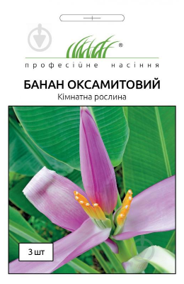 Насіння квіти Банан оксамитовий кімнатний 3шт.