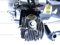 Двигатель 110 кубов механика Дельта/Альфа Alpha-lux