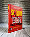 Набір ТОП 5 по мотивації:"Ефект накопичення","Лідер майбутнього","Не тупи","Ви сильніші","Scrum", фото 5