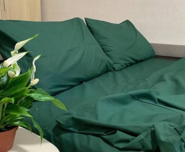 зображення постільна білизна полуторний розмір зелений колір
