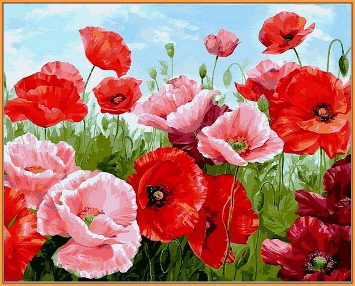 Рукітвор Картина за номерами (NB1111R) Яскраво-червоні маки (в рамі), 40 х 50 см, DIY Babylon Premium