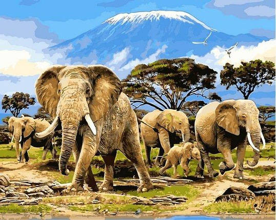 Рукітвор Картина за номерами (VP1441) Стаючи слонів, 40 х 50 см, DIY Babylon, фото 1