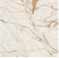 Керамогранит крупноформатный Marazzi Grande Marble Look Golden White Lux Rett 120X120