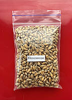 Пшениця Насіння для мікрозелені/мікрогрін