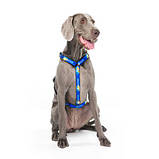 Шлейка для собак анатомічна H-подібна Waudog Nylon з QR-паспортом, фото 3