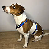 Шлейка для собак анатомічна H-подібна Waudog Nylon з QR-паспортом, фото 5