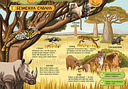 Енциклопедія велика ігрова "Тварини світу" (на укр) А892006У Ранок, фото 4
