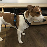 Шлейка для собак анатомічна H-подібна Waudog Nylon з QR-паспортом, малюнок Nasa, фото 5