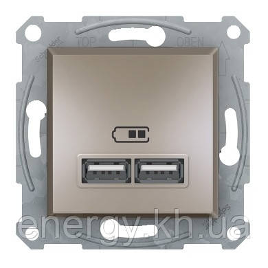 Розетка 2-я USB - 2,1 A Asfora Бронза EPH2700269