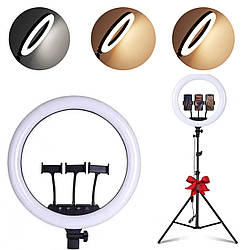 Лампа кільцева LS-360 + Подарунок Штатив для лампи 0,66-2м / Професійна кільцева LED лампа