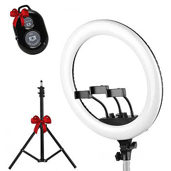 Лампа кільцева LED LS-360 + Подарунок Штатив 0,66-2 м + Пульт для селфі / Світлодіодна лампа