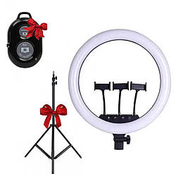 Лампа кільцева 3 кріплення LS-360 + Подарунок Штатив 0,66-2 м + Пульт Bluetooth для селфі