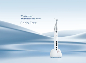 Ендомотор Woodpecker Endo Free