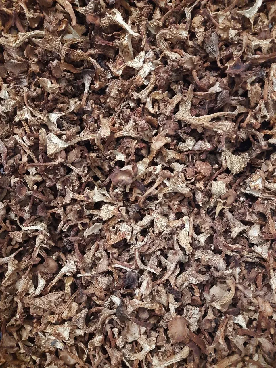 Лисичка (Cantharellus cibarius) сушена, 2 сорт - 1000 гр.