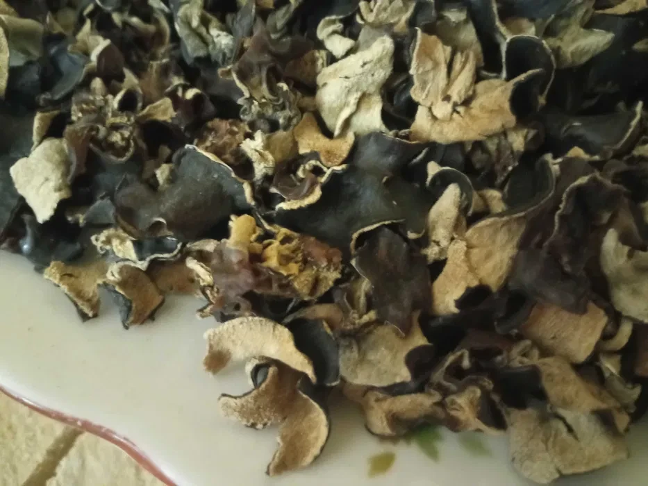 Муєр деревний гриб сушений 1 кг