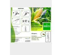 Комплект “Кукурудзяний жук” (Diabrotica virgifera virgifera)