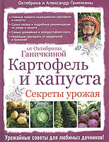 Книга Картофель и капуста. Секреты урожая от Октябрины Ганичкиной (Рус.) (переплет твердый) 2016 г.