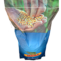 Семена кукурузы ДКС 3939 (Dekalb) ФАО - 320