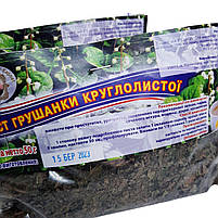 Листя грушанки круглолистої, 50 г, фото 2