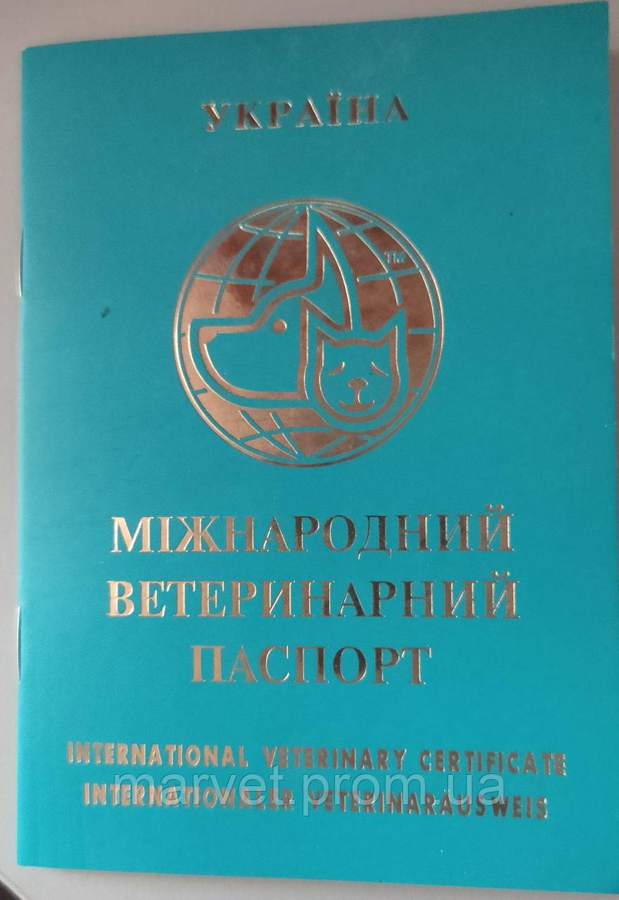 Ветеринарний паспорт для собак і котів (міжнародний) 27 стор. MV - фото 1 - id-p1821315098