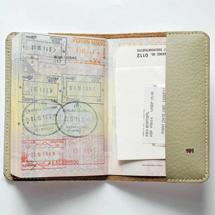 Обложка на паспорт v.1.0. 191 Мрачный кот (эко-кожа) 1 шт. - фото 3 - id-p1821352510
