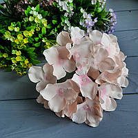 Цветок гортензии 15 см в диаметре. Пудровая с розовой серединкой.