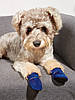 Літнє взуття для собак Pet Style "Сіточка" Сині 1, фото 2