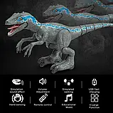 Динозавр на радіокеруванні (їздить, танцює, пар, музика, звуки на англ, реагує на руку, акумулятор, USB) 8001D, фото 2