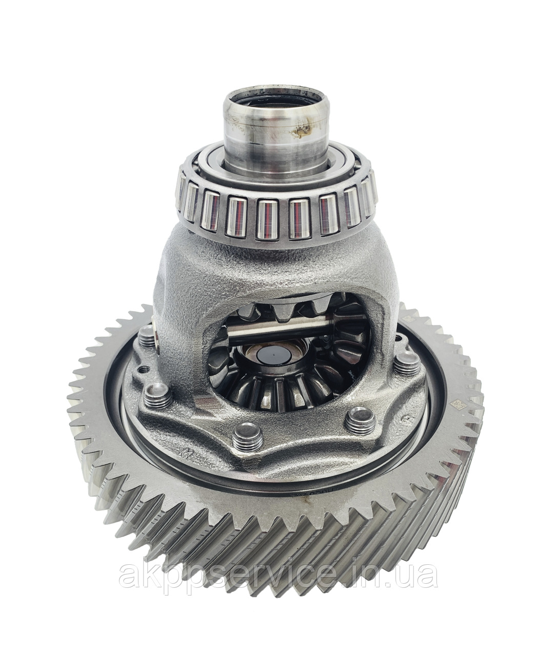 4441839400_w640_h640_444183940