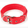 Нашийник для котів Pet Style "Класичний" Червоний 23-31 см, фото 2