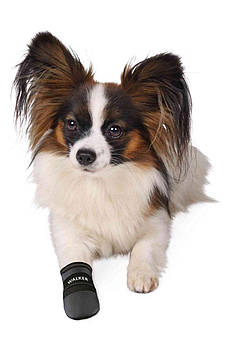 Захисні черевики для собак малих порід Trixie "Walker Care" S 2 шт.