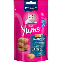 Лакомство для кошек Vitakraft Yums 40 г (лосось и Омега-3)