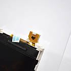 Дисплей (екран) LCD Nokia 7210/6610/6100/3100/3120/5100/7250 HC, фото 3