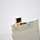 Дисплей (екран) LCD Nokia 7210/6610/6100/3100/3120/5100/7250 HC, фото 4