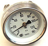 Термометр води накладний (казник температури) для котлів, під "кліпсу" 50 мм, діаметр 65 мм, код сайту 5003, фото 2