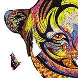 Середній Фігурний Дерев'яний Пазл Woods Story Тигр (Володар Джунглів) L, фото 6