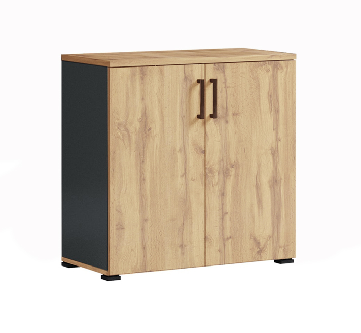 Комод офісний Jurian 2 дв ТМ Міро-Марк