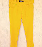 Джегінси жовті із заклепками ДШ
