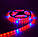 Світлодіодна стрічка фіто SMD 5050 12V 60д.м. IP65 5 червоних +1синій (ціна за 1 метр), фото 4